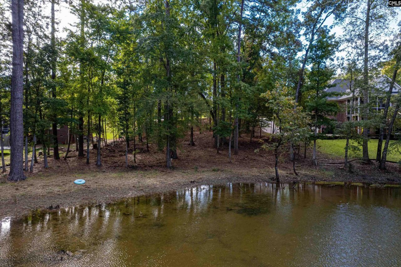 416 Lookover Pointe Drive  Photo 16