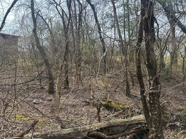 Lot 2 Ivanhoe Lane, Crossville, TN 38555