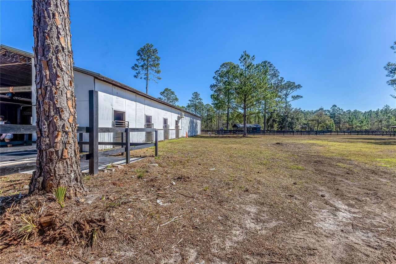 34175 Steeple Chase Way, Callahan, FL 32011 Photo