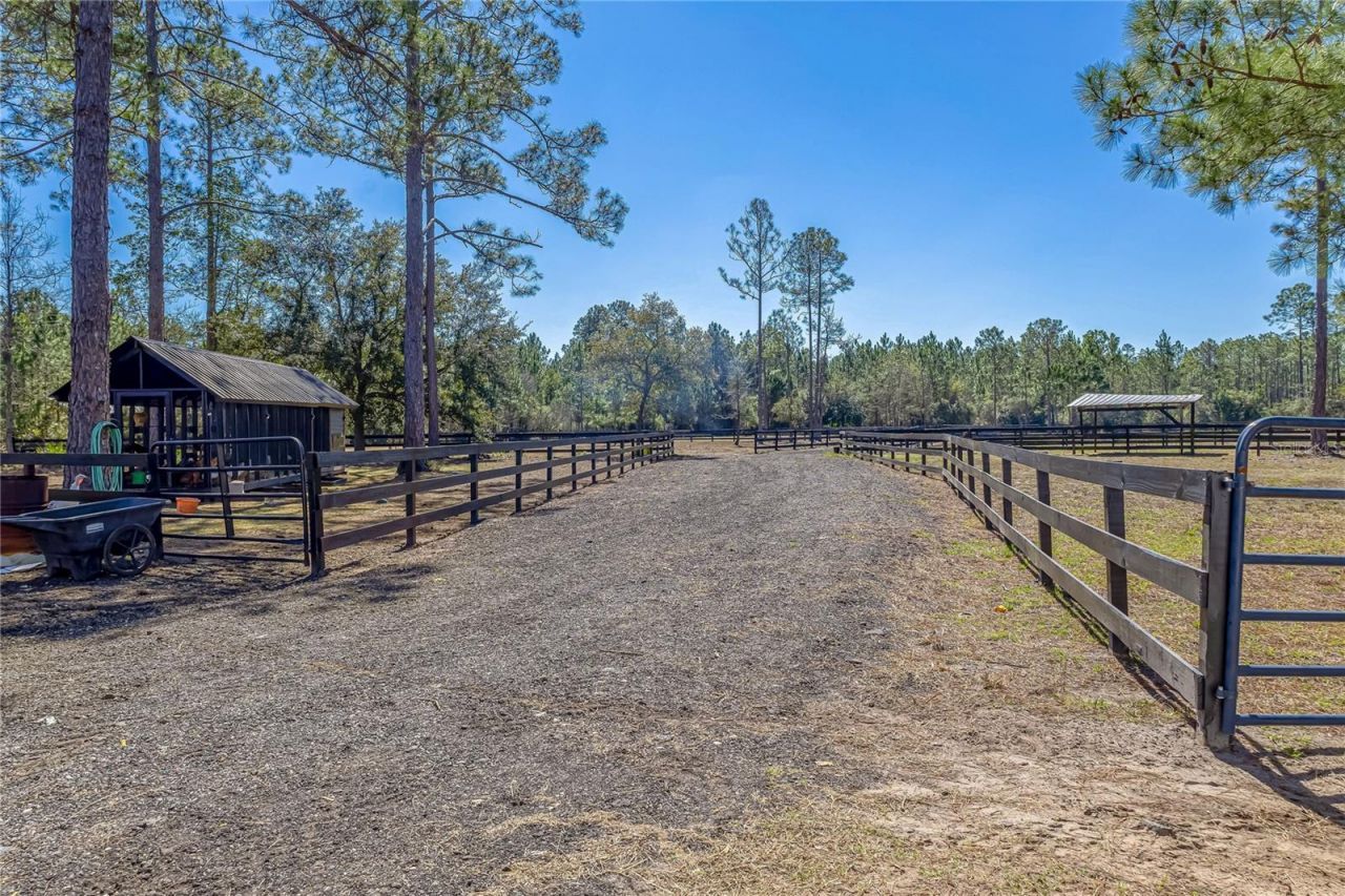 34175 Steeple Chase Way, Callahan, FL 32011 Photo