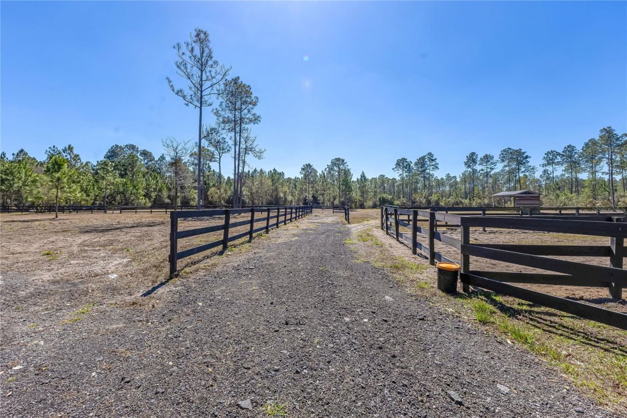 34175 Steeple Chase Way, Callahan, FL 32011 Photo