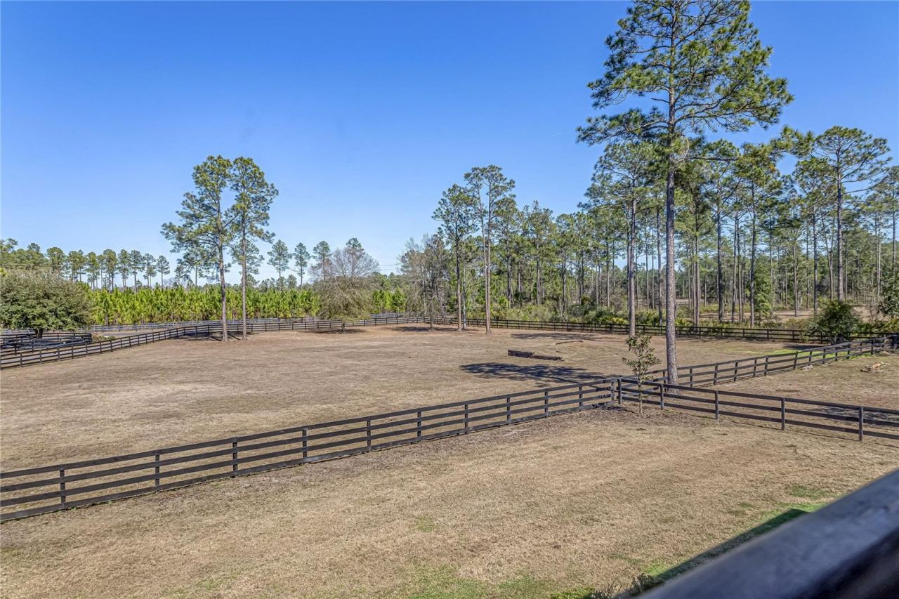 34175 Steeple Chase Way, Callahan, FL 32011 Photo