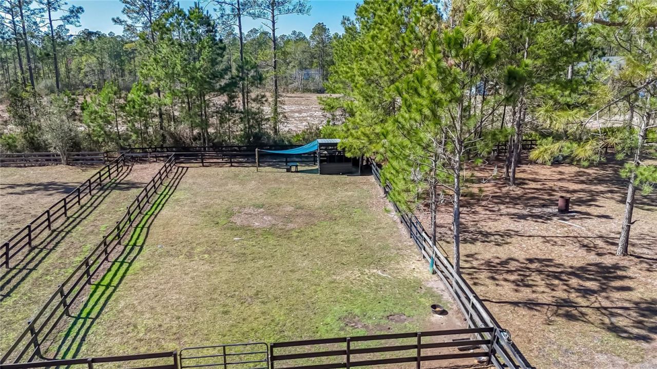 34175 Steeple Chase Way, Callahan, FL 32011 Photo