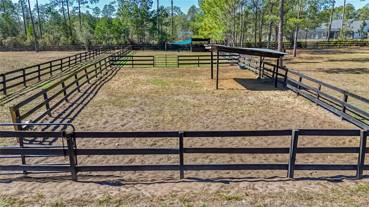 34175 Steeple Chase Way, Callahan, FL 32011 Photo