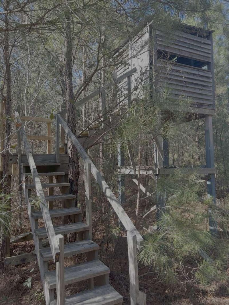 0 Moses Dingle Road Photo 14