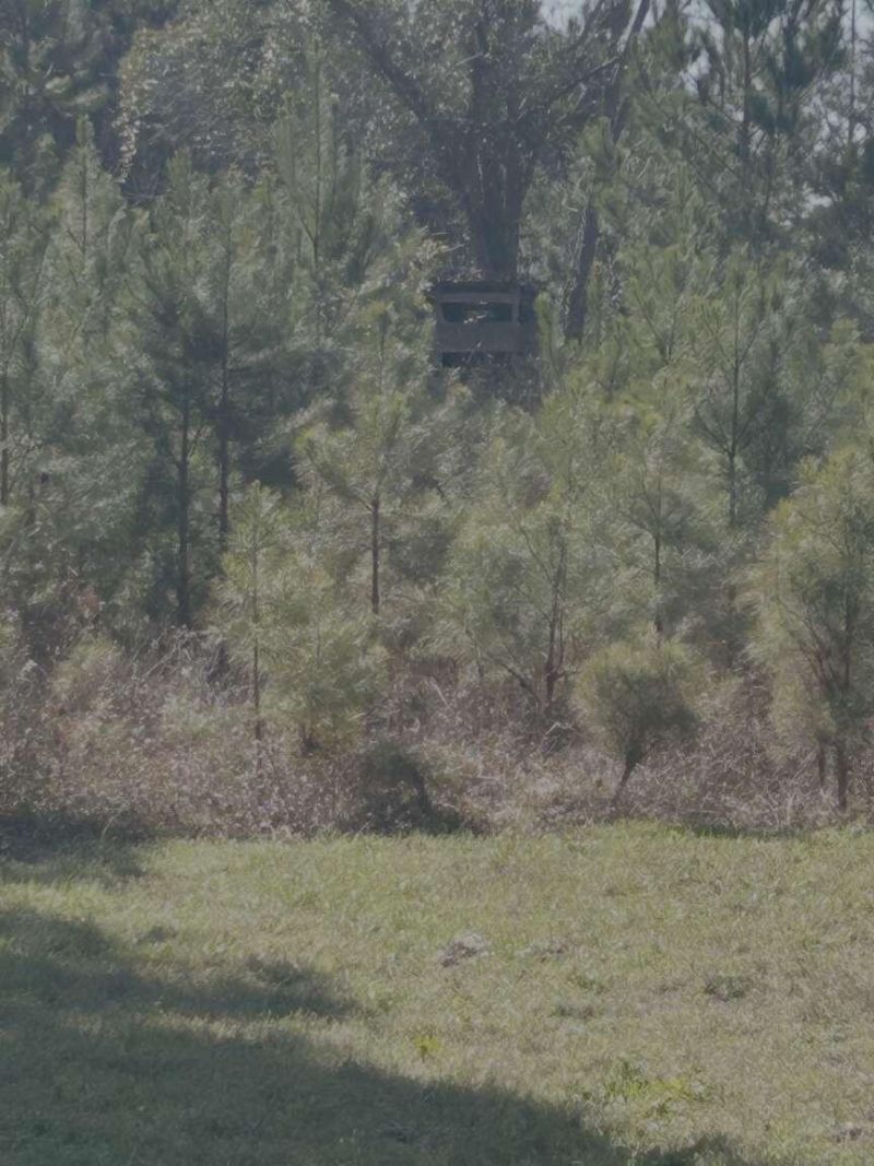 0 Moses Dingle Road Photo 16