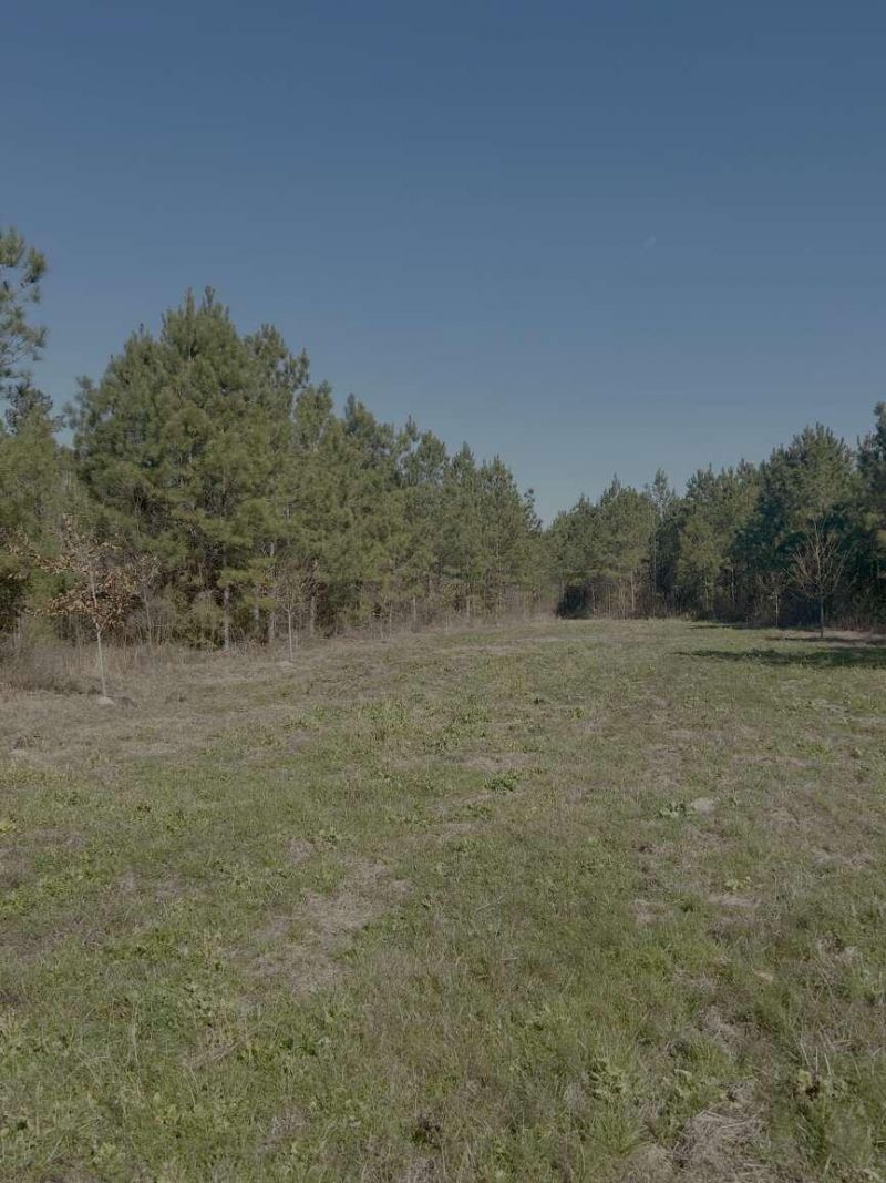 0 Moses Dingle Road Photo 17