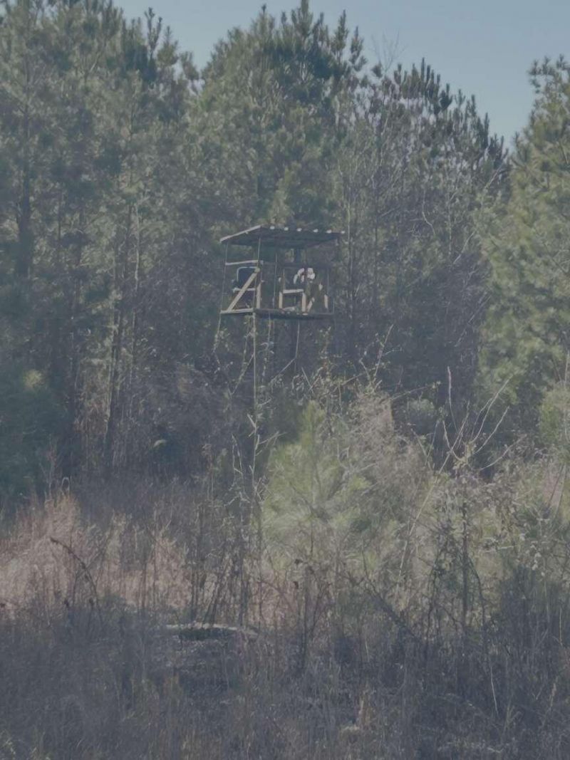 0 Moses Dingle Road Photo 18