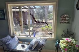 1351 Smyrna Road photo 4