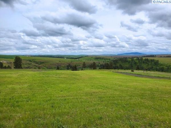 Lot 9 Red Tail Ridge, Colfax, WA 99111