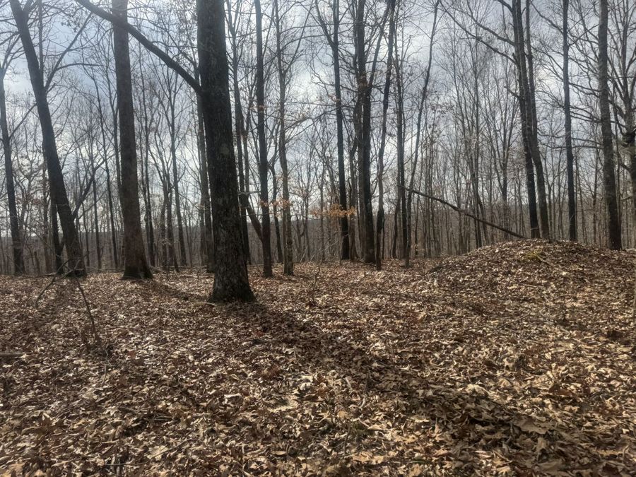 Property Image 18