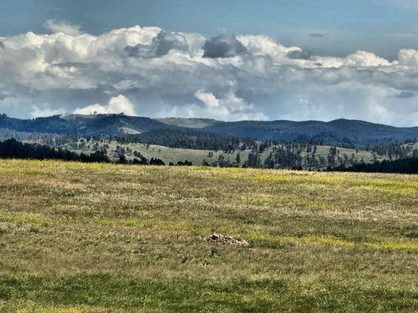 TBD W Argyle Road, Custer, SD 57730