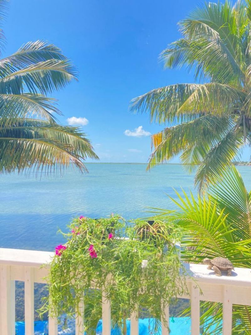 32 Beach Drive, Saddle Bunch, FL 33040 Photo