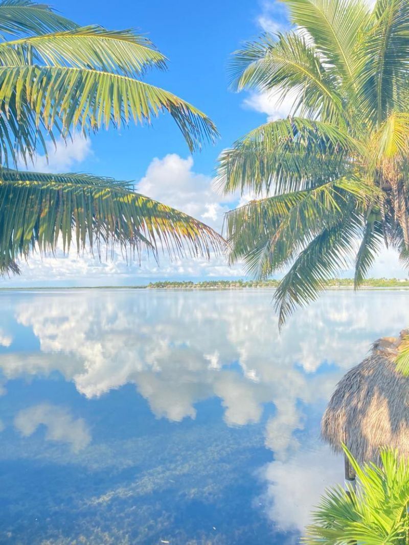 32 Beach Drive, Saddle Bunch, FL 33040 Photo