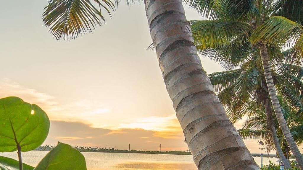 32 Beach Drive, Saddle Bunch, FL 33040 Photo