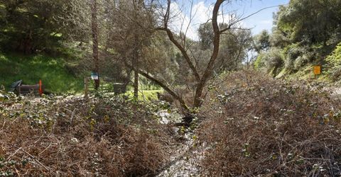 7680 Middle Bar Rd, Jackson, CA 95642 Photo