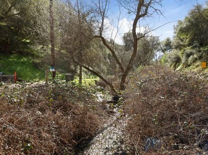 7680 Middle Bar Rd, Jackson, CA 95642 Photo