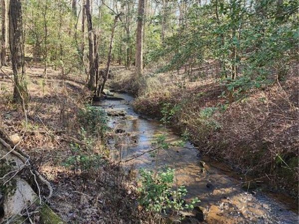 LOT 163 Lecroy Drive, Ellijay, GA 30540