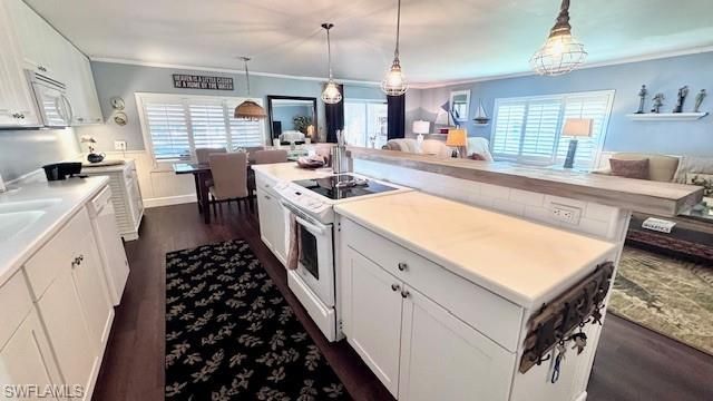 14669 Paul Revere Loop , North Fort Myers, FL 33917 Photo