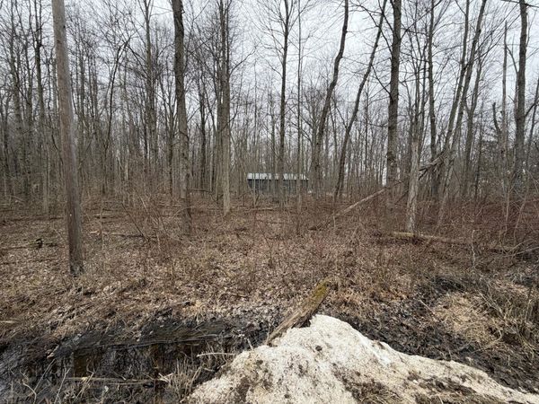 40000 BLK Sycamore Drive, Bangor, MI 49013