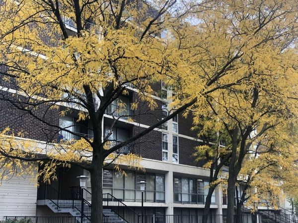 Unit 606, Bensenville, IL 60106