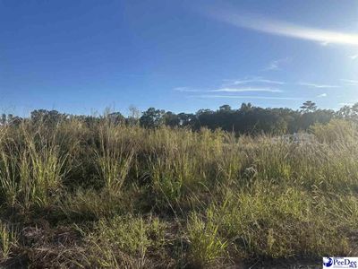 3506 Tropicana Way, Florence, SC 29501