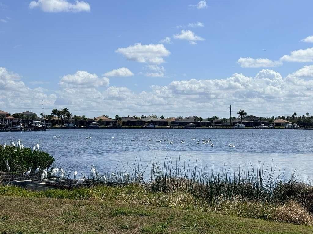 904 Riverscape Street, Bradenton, FL 34208 Photo