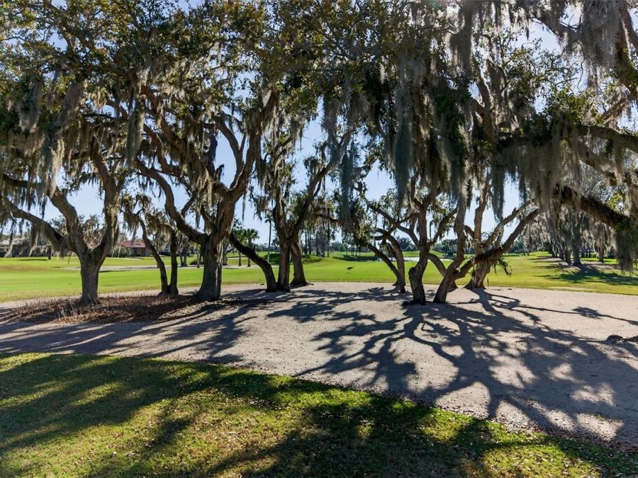 Property Image 60