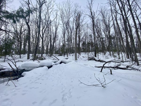 Lot 222 Fascination Drive, Frederic, MI 49733