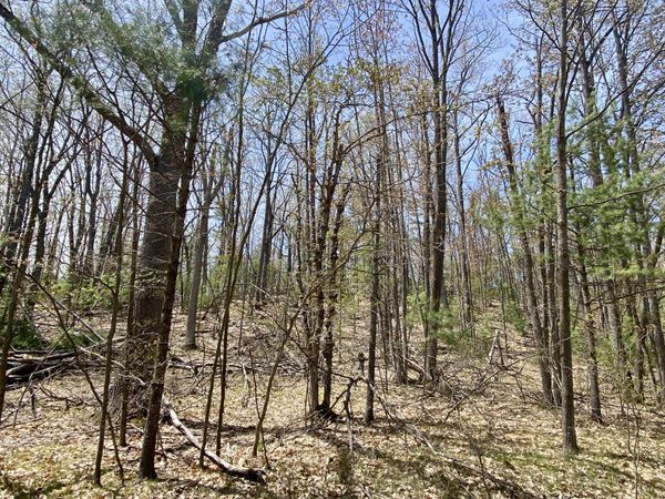 Lot 222 Fascination Drive, Frederic, MI 49733