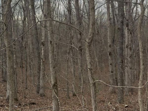 20 acres Barbee Cemetery Rd, Pikeville, TN 37367