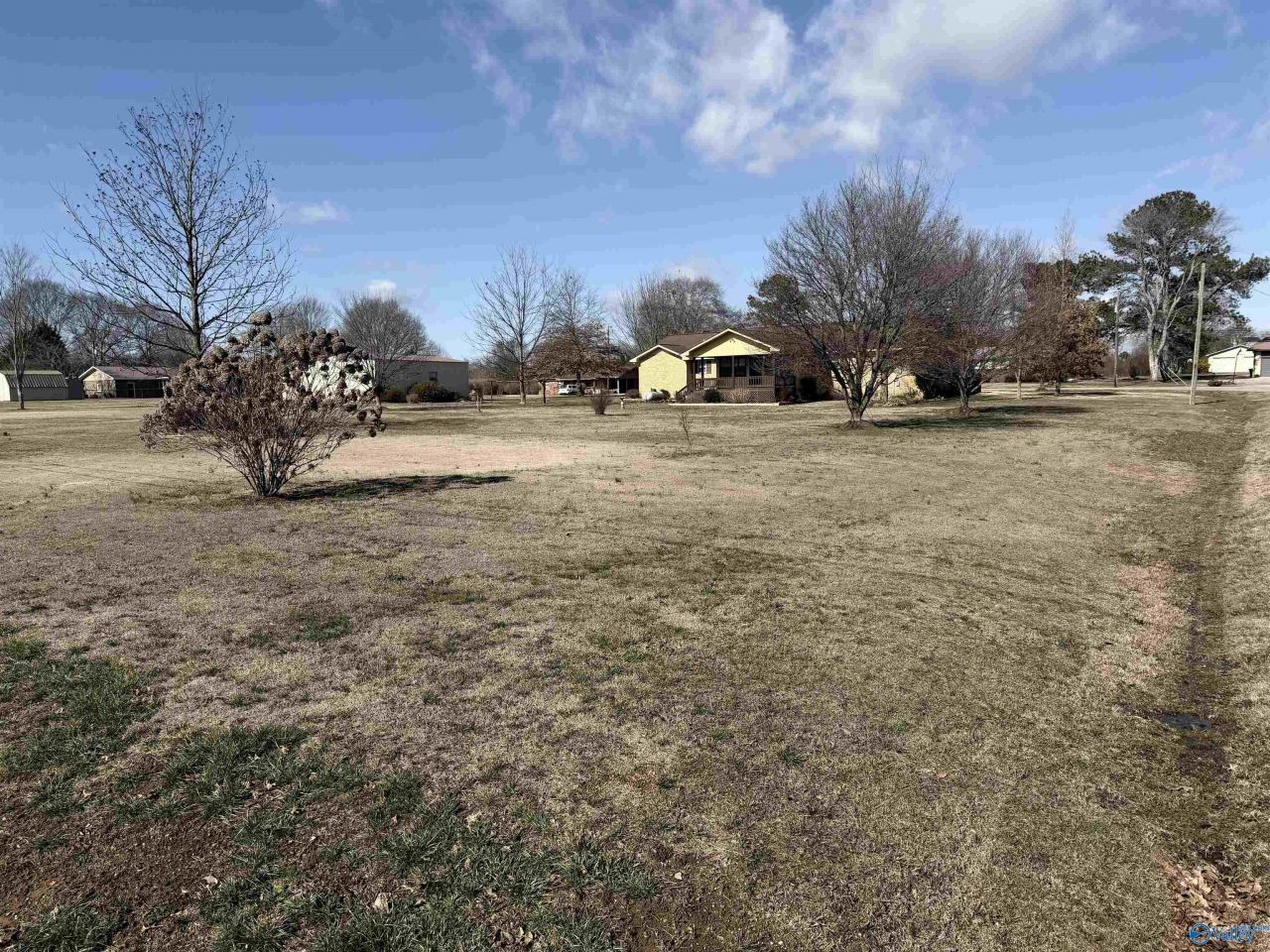 299 Joe Hope Drive, Geraldine, AL 35974 Main Photo