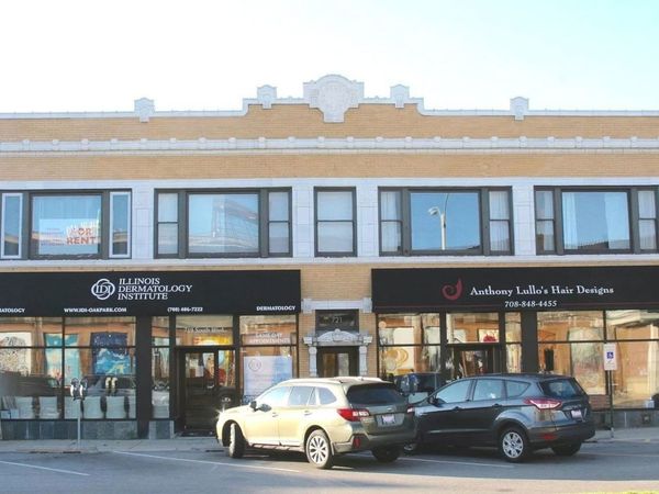 721 South Boulevard, Unit 1, Oak Park, IL 60302