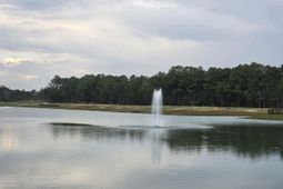 2215 Seagrape Dr. photo 4