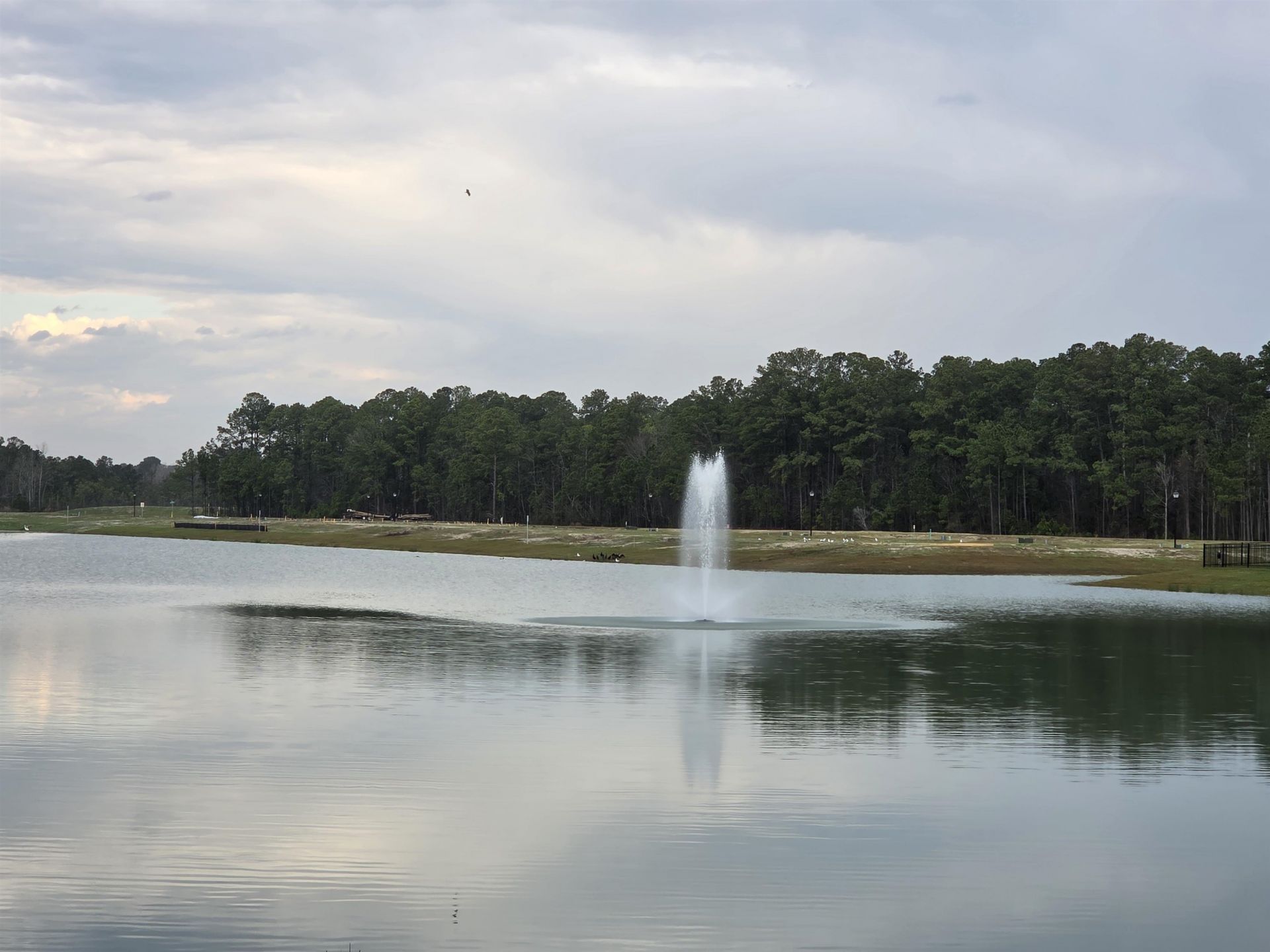 2215 Seagrape Dr. Photo 29