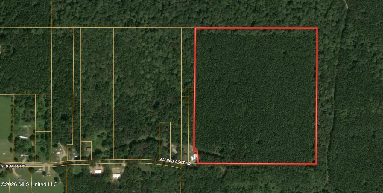 0 Alfred Agee Road, Morton, MS 39117 Main Photo