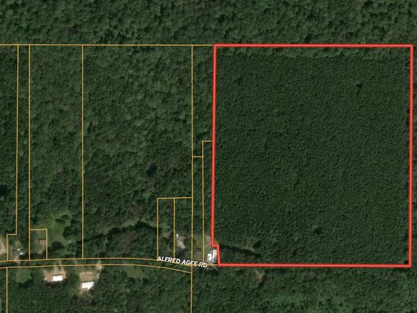 0 Alfred Agee Road, Morton, MS 39117