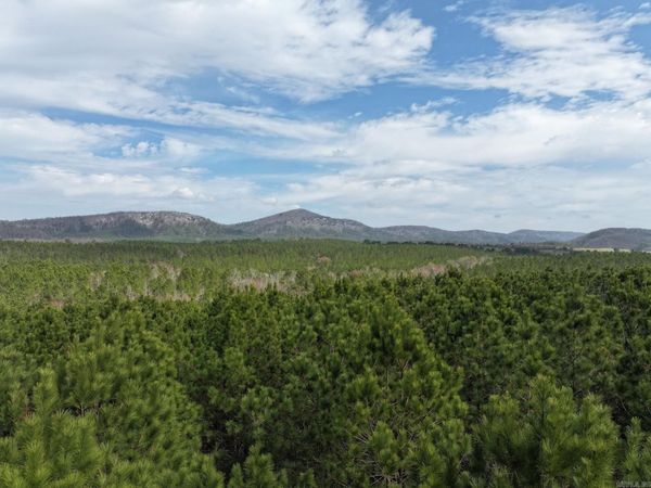 XXX J Dunson Road, Langley, AR 71952