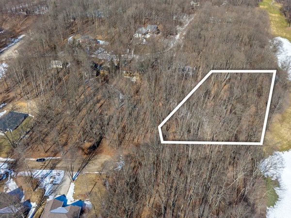 11260 Apache Wells Court, Canadian Lakes, MI 49346