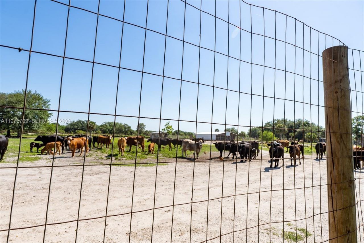 21810 NW 270th St , Okeechobee, FL 34972 Photo