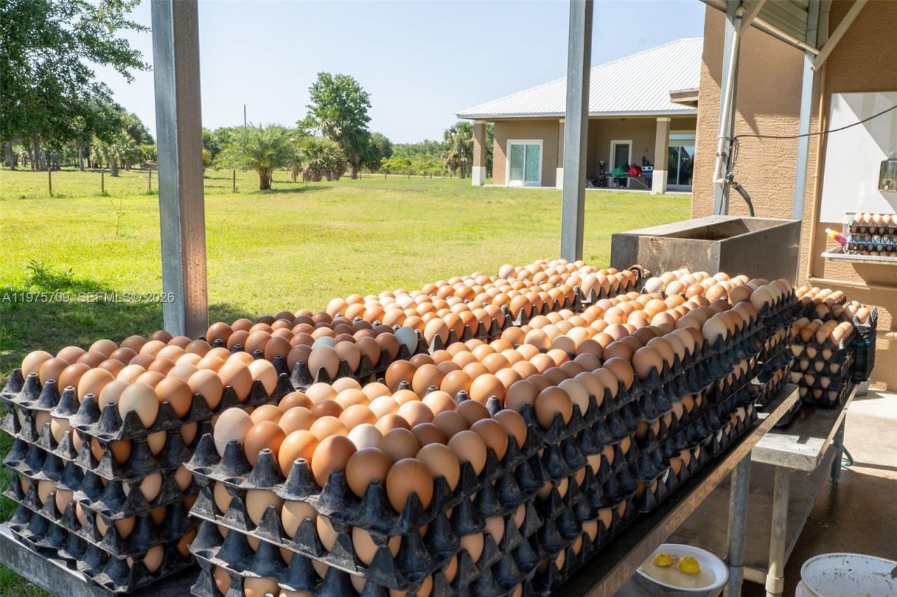 21810 NW 270th St , Okeechobee, FL 34972 Photo