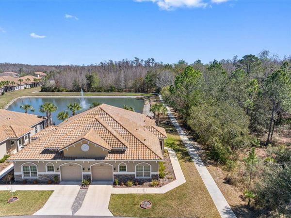 29800 ANAND VIHAR DRIVE , WESLEY CHAPEL, FL 33543