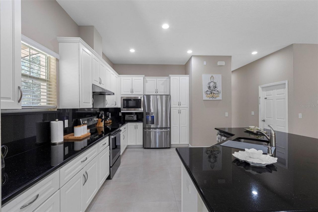 29800 Anand Vihar Drive, Wesley Chapel, FL 33543 Photo