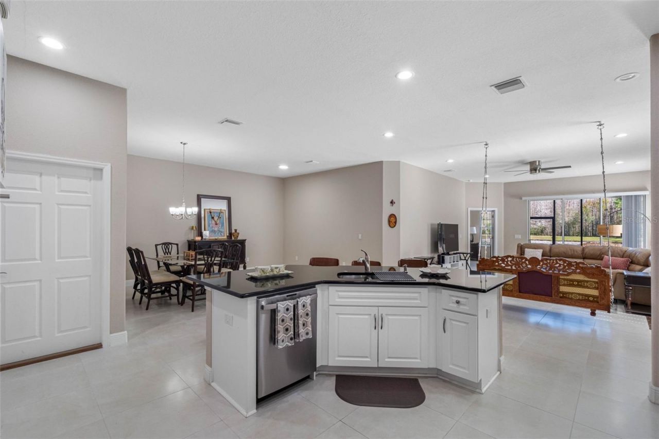 29800 Anand Vihar Drive, Wesley Chapel, FL 33543 Photo