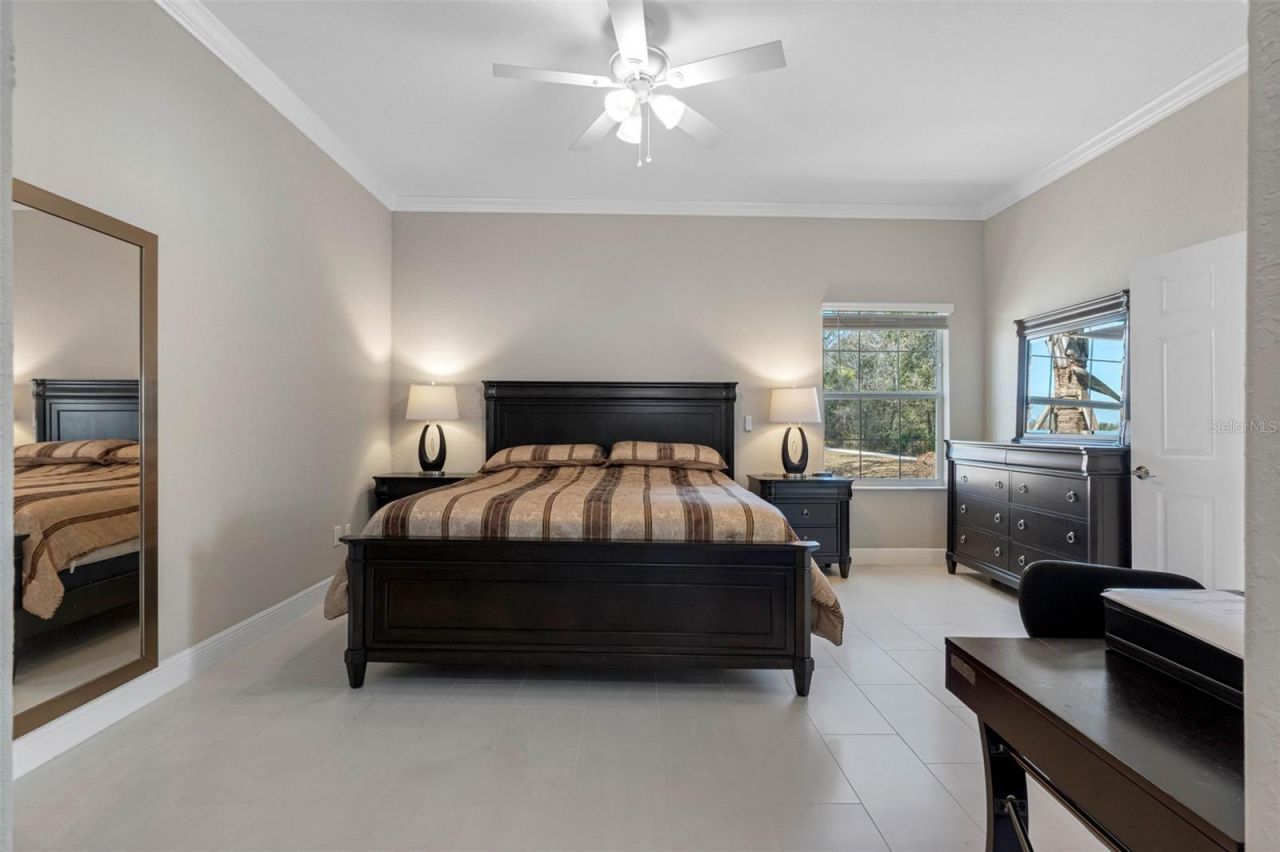 29800 Anand Vihar Drive, Wesley Chapel, FL 33543 Photo