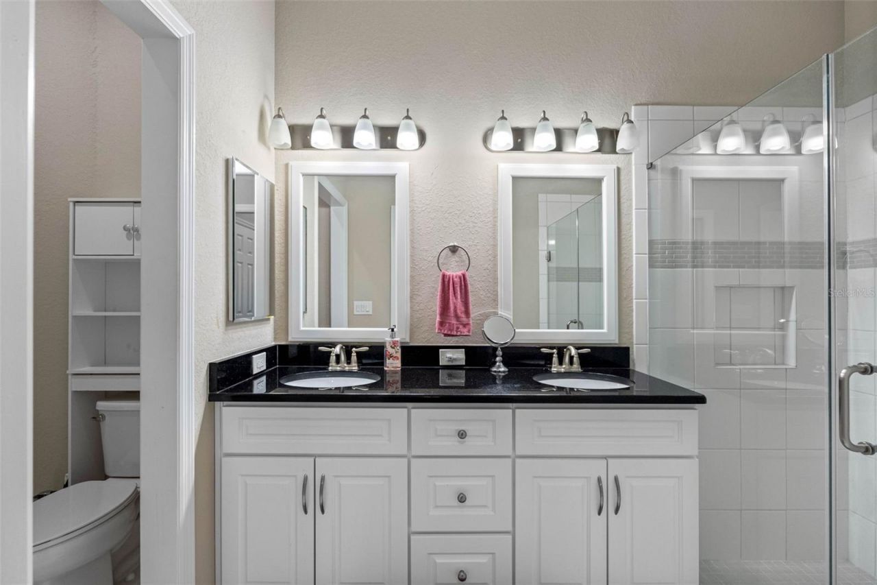29800 Anand Vihar Drive, Wesley Chapel, FL 33543 Photo