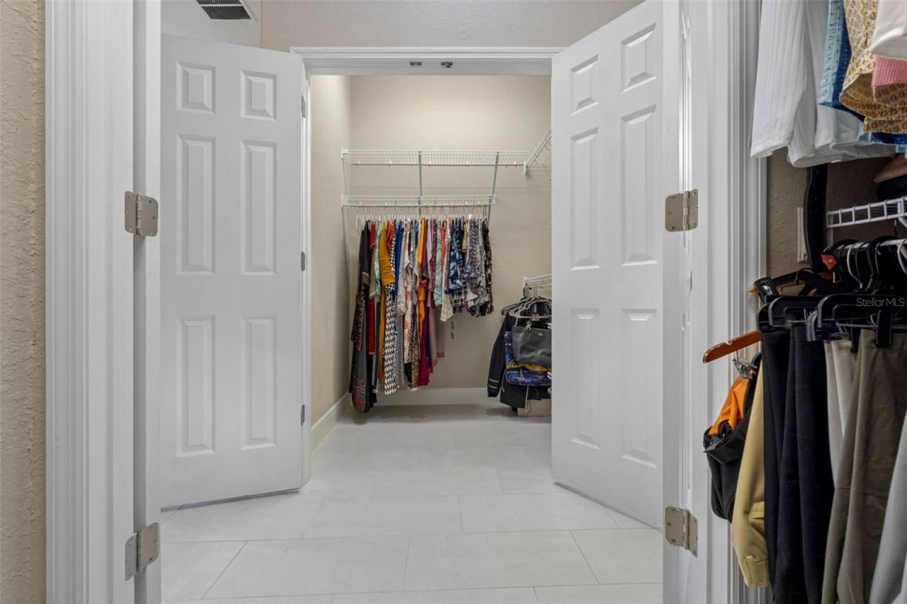 29800 Anand Vihar Drive, Wesley Chapel, FL 33543 Photo