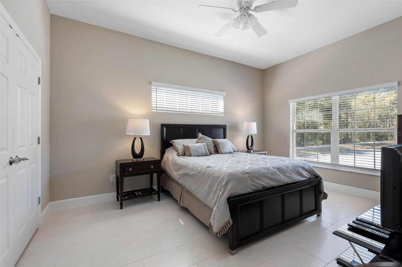 29800 Anand Vihar Drive, Wesley Chapel, FL 33543 Photo