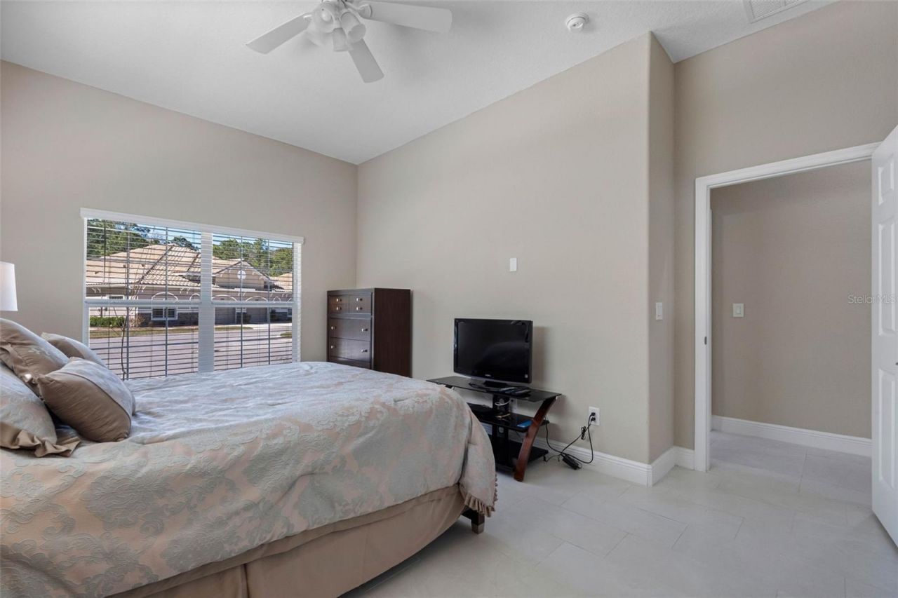 29800 Anand Vihar Drive, Wesley Chapel, FL 33543 Photo