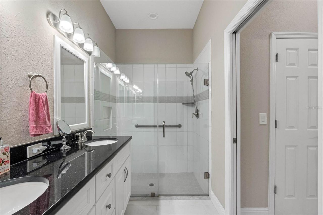 29800 Anand Vihar Drive, Wesley Chapel, FL 33543 Photo
